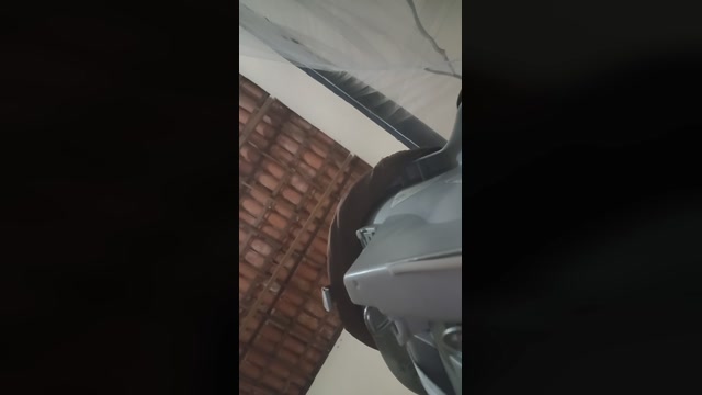 priscila10043  02-11-2022